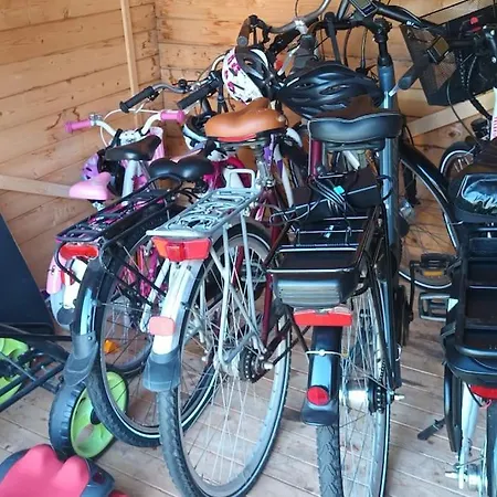 Dom wakacyjny Zum Birkenwaeldchen